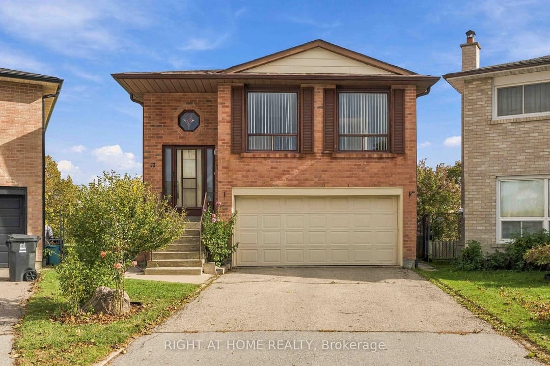 17 Cathy Jean Crescent, Etobicoke (West Mall / Rexdale)