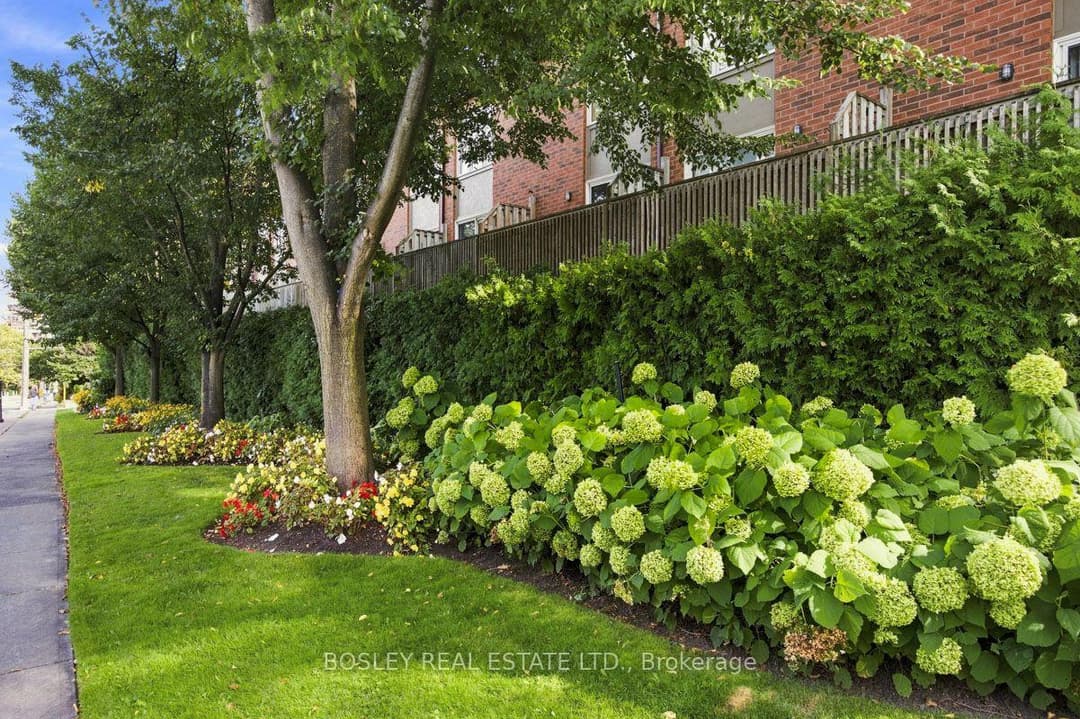 64 Old Mill Terrace Unit 3, Corso Italia / Dufferin Grove
