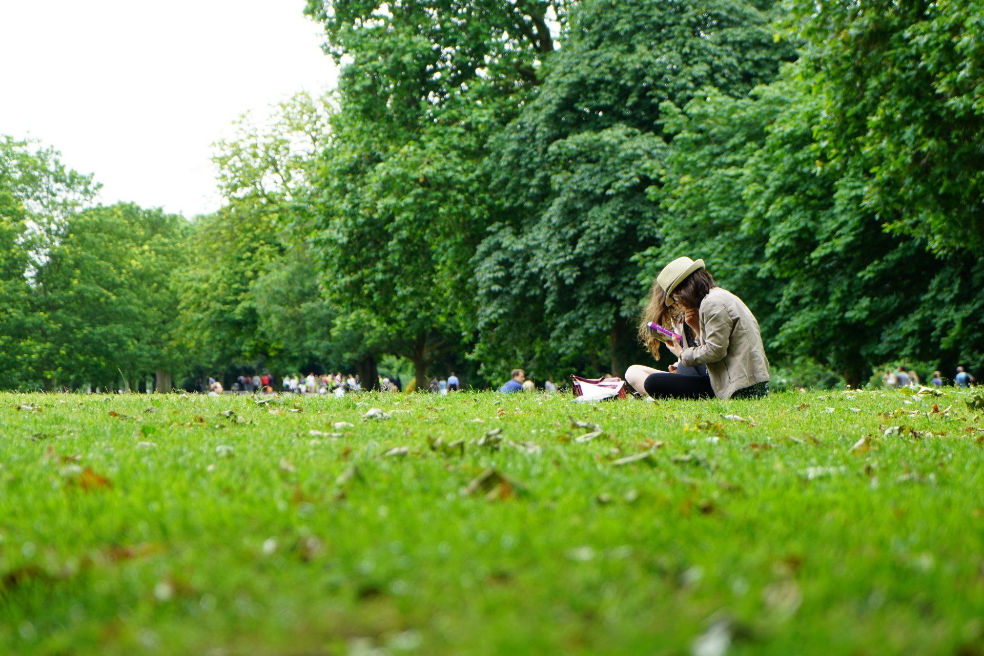 A woman is sitting on the grass in a park reading a book.