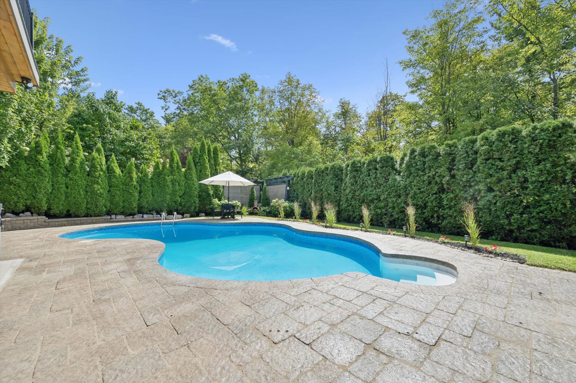 Private backyard pool screened by tall cedars at a luxury Oakville home, marketed by the Dan Cooper Group.