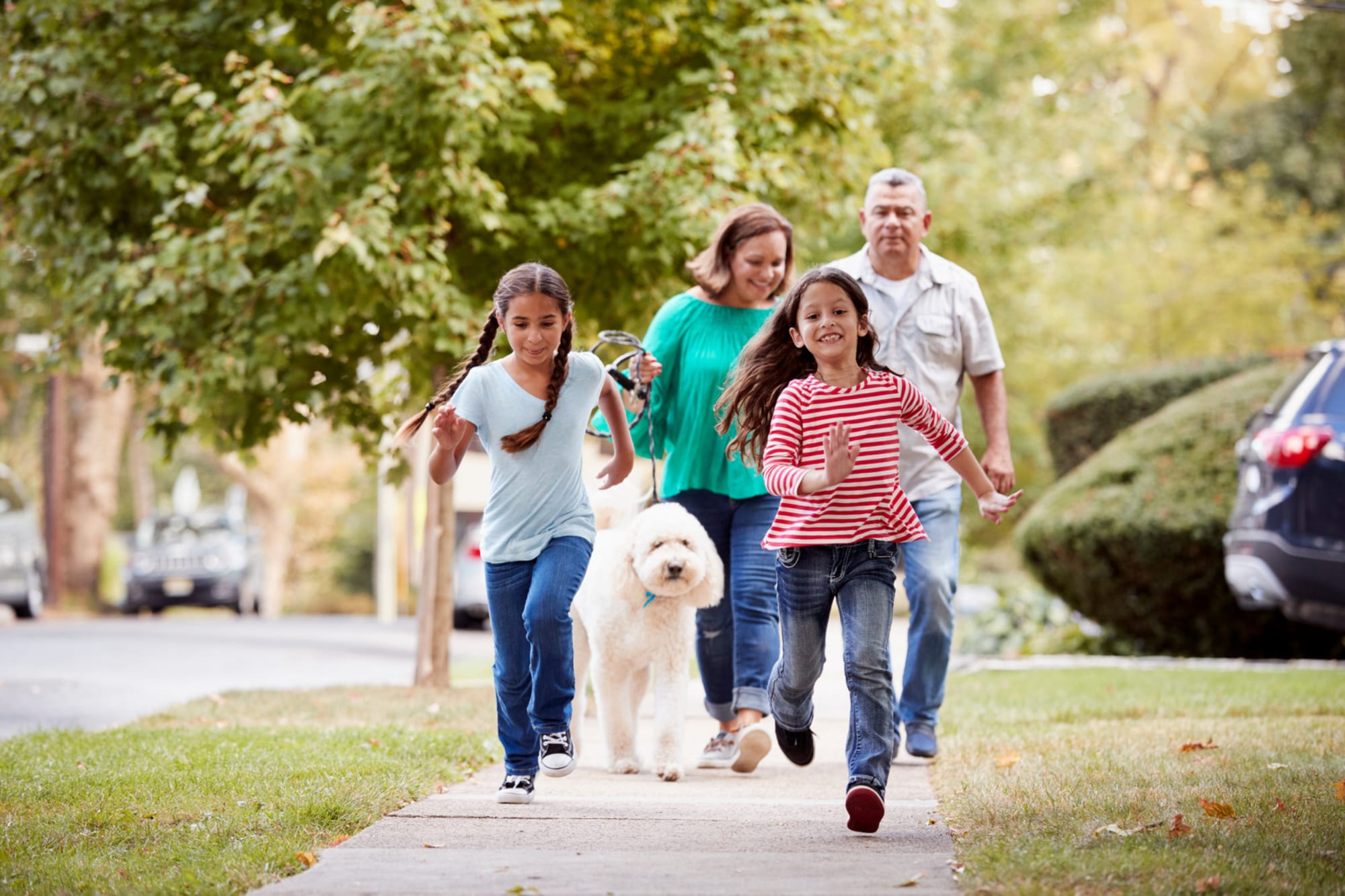 Family with two young girls and a white dog walking along a tree-lined sidewalk.