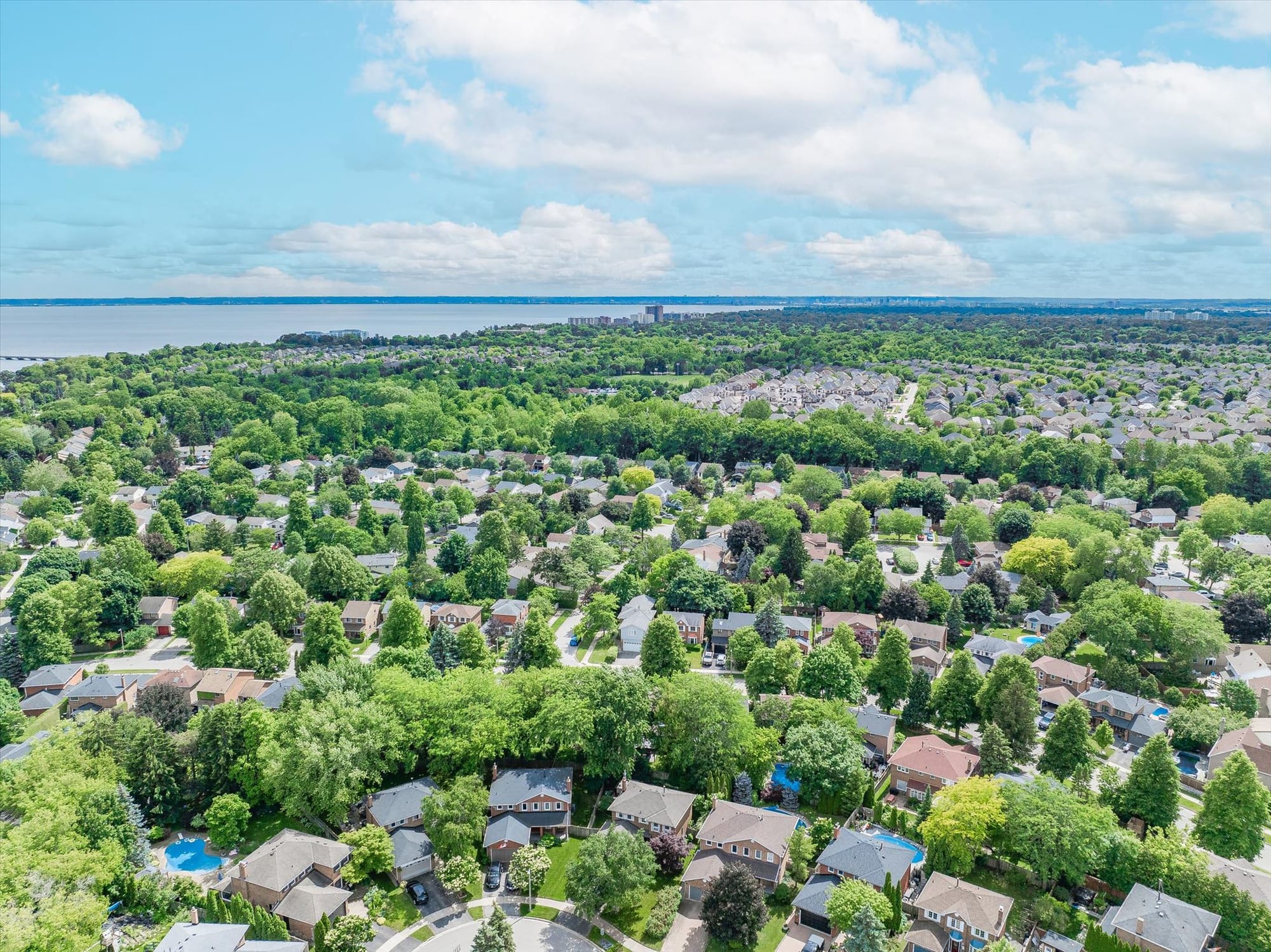 Aerial view of a leafy neighbourhood with backyard pools, with Lake Ontario on the horizon.