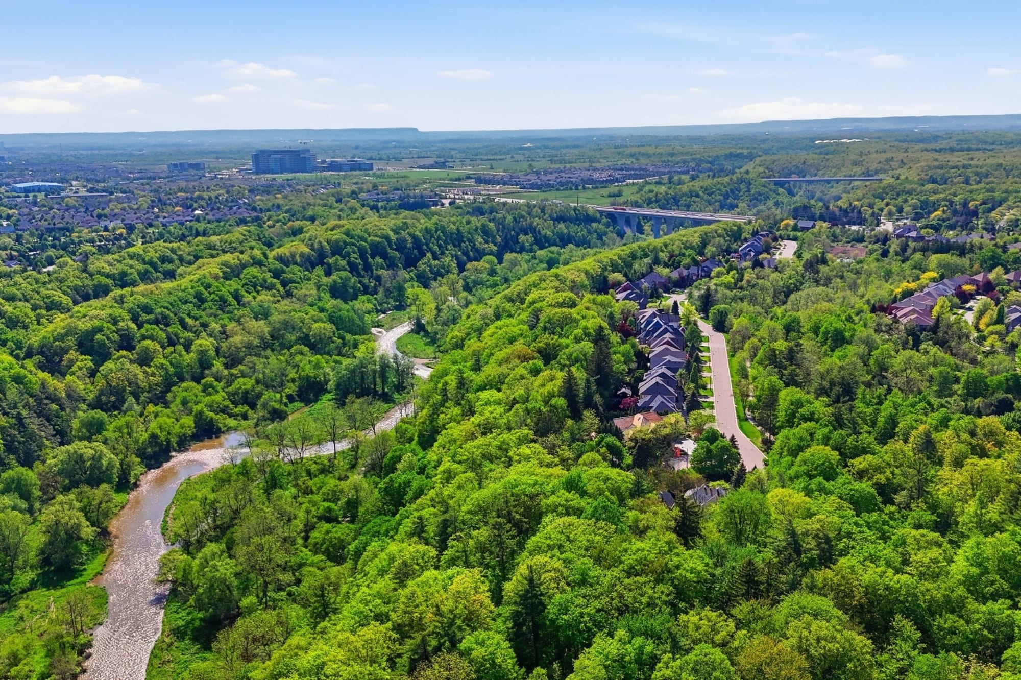 Aerial view of homes along a wooded ravine, with a creek winding through the valley below.