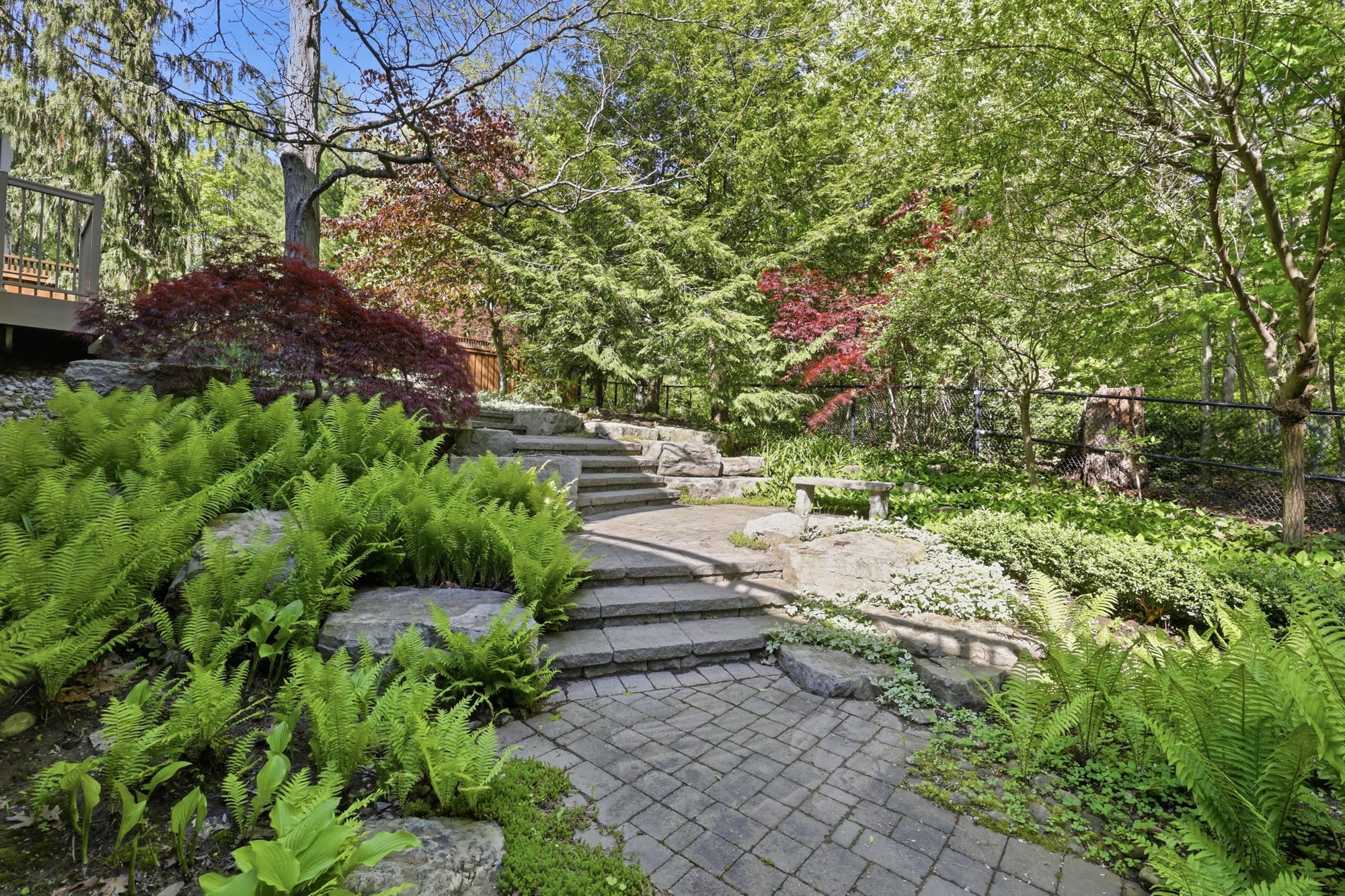 Stone steps and a patio winding through a landscaped ravine garden with ferns, Japanese maples and mature trees.