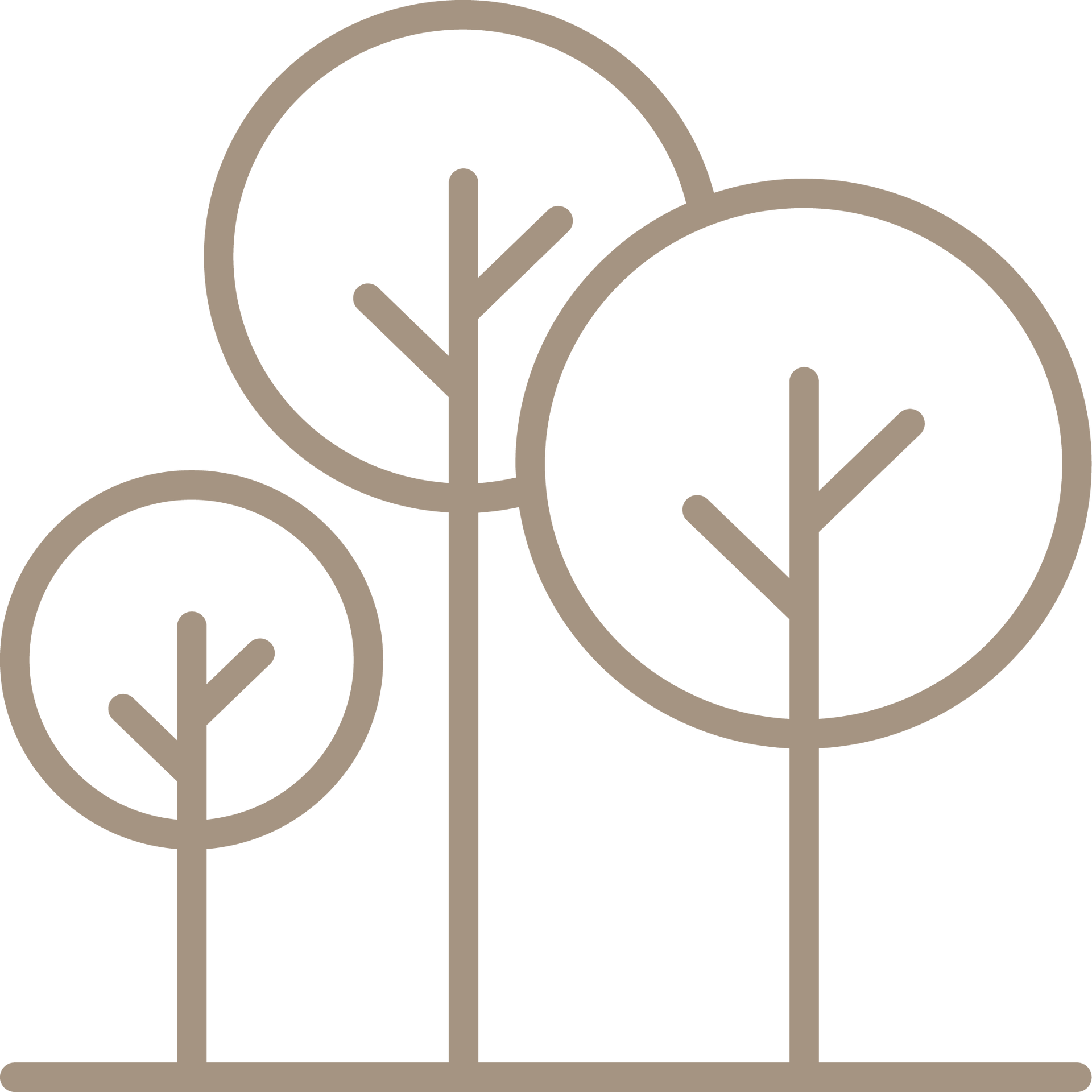 A line drawing of three trees on a white background.