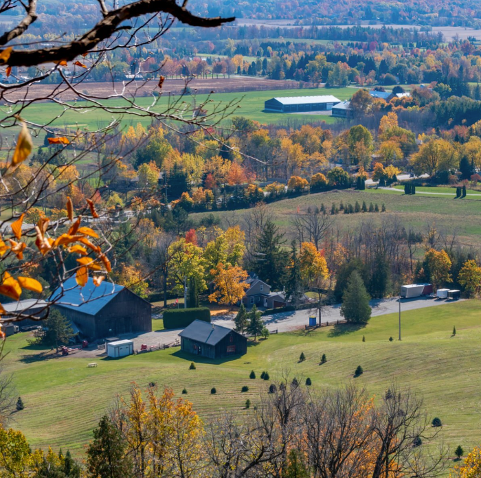 An aerial view of a valley with trees and houses