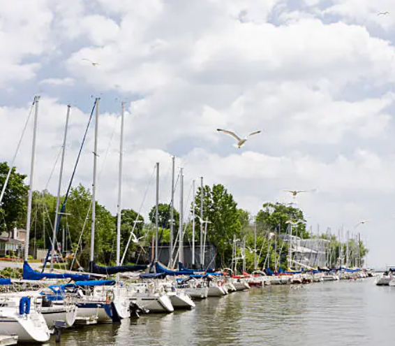 A row of boats are docked in a harbor with seagulls flying overhead