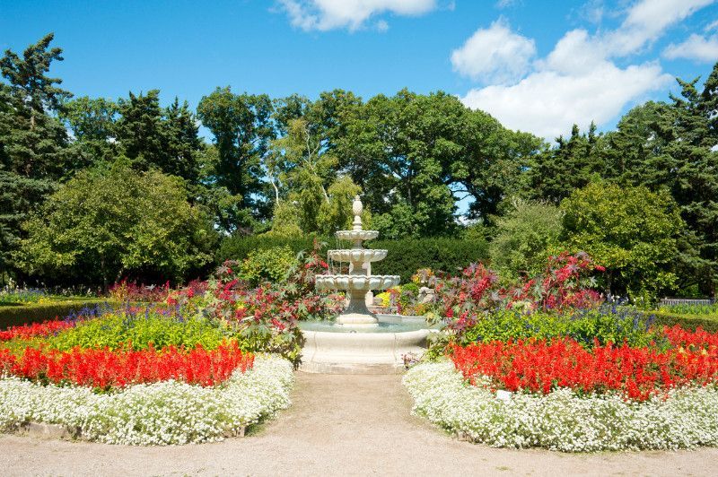 There is a fountain in the middle of a garden surrounded by flowers.